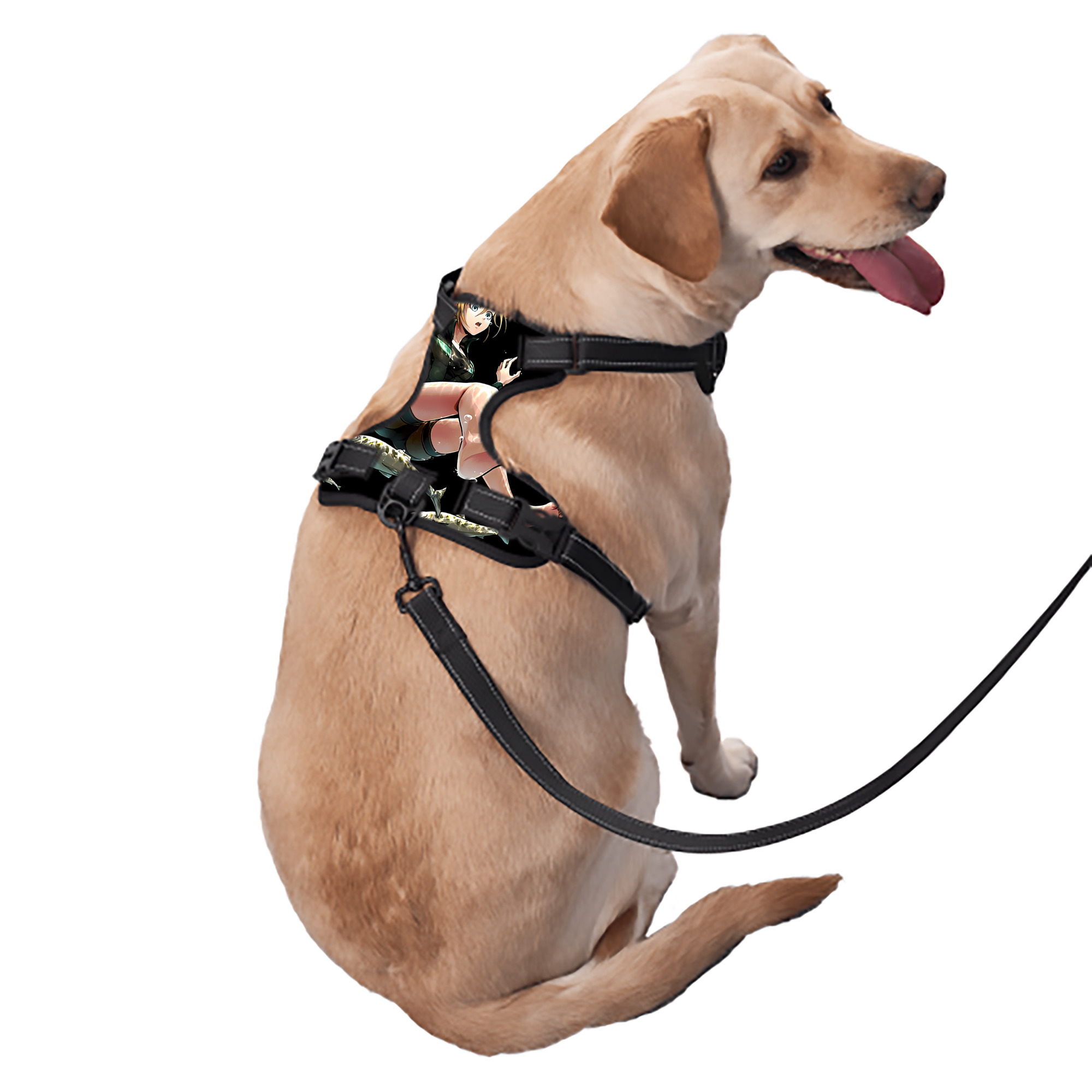 （画像用） 進撃の巨人 クリスタ·レンズ Attack on Titan Christa Lenz ペット用ハーネス